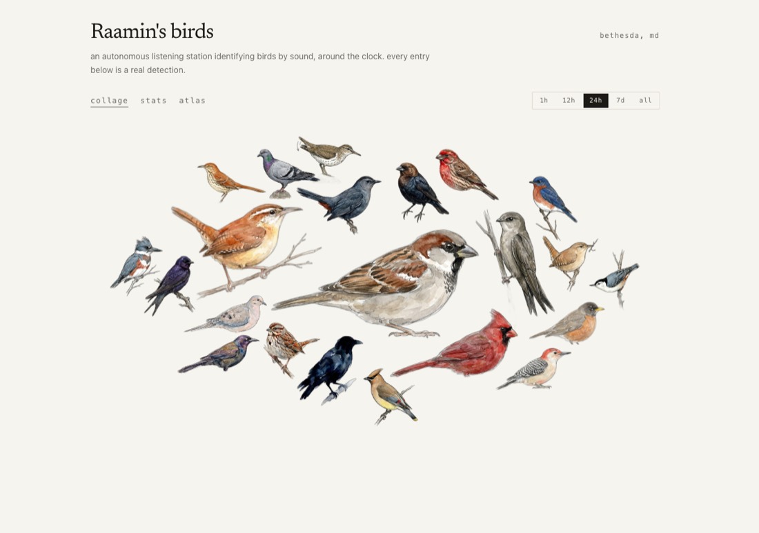 Raamin's Birds website